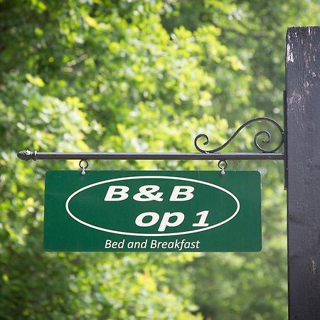 Bed & Breakfast Orvelte Bagian luar foto