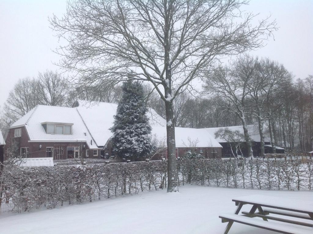 Bed & Breakfast Orvelte Bagian luar foto