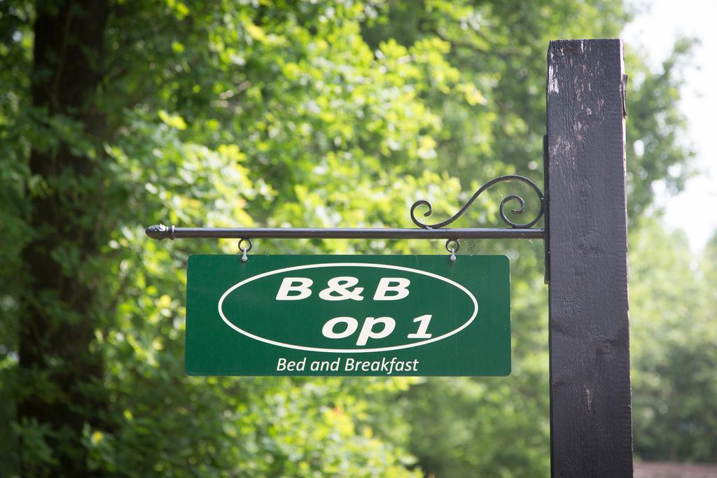 Bed & Breakfast Orvelte Bagian luar foto